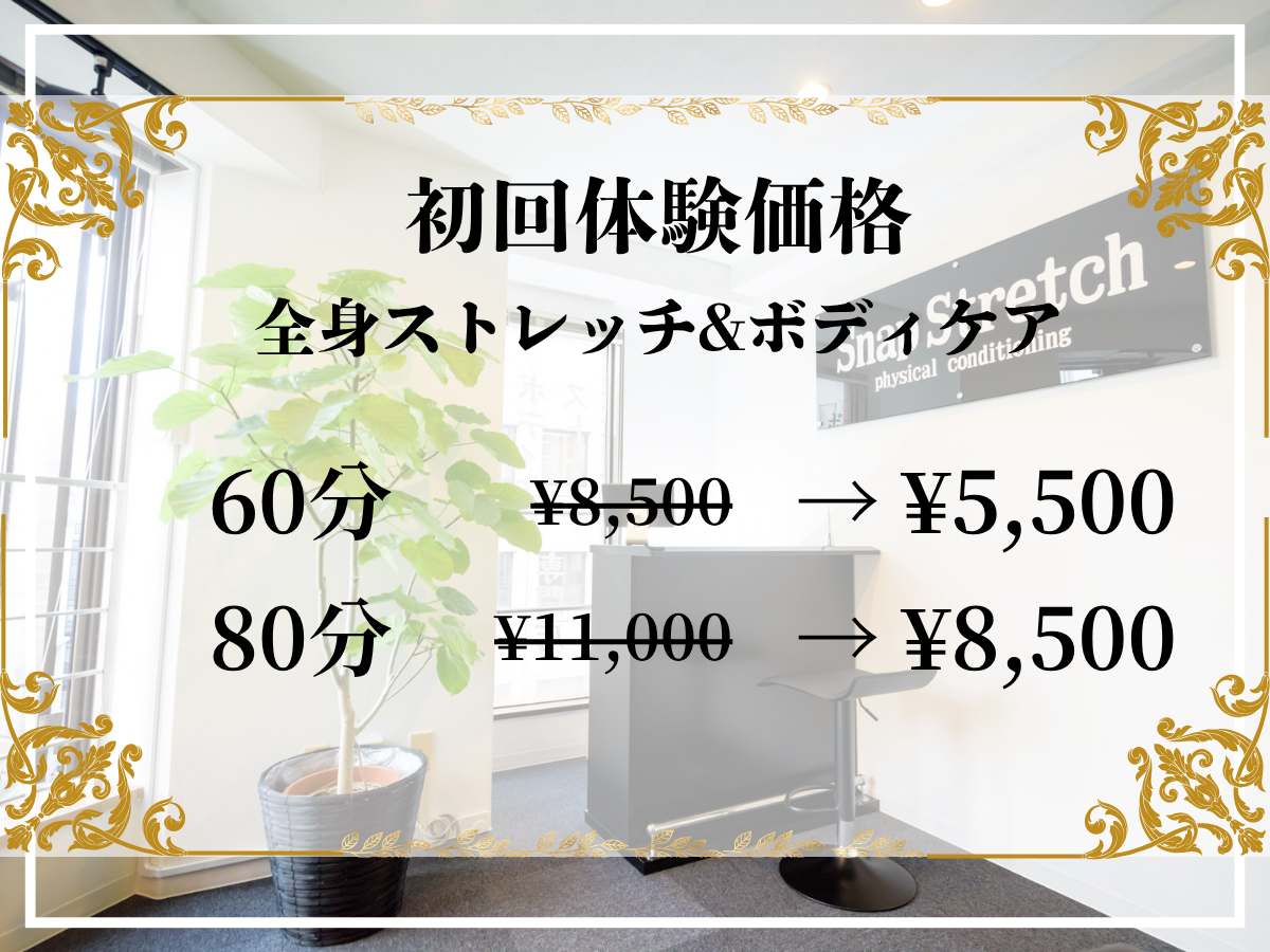 初回限定_インスタ_202609