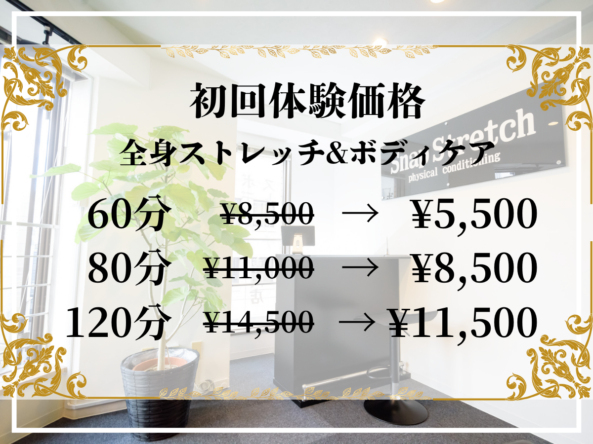 初回限定_インスタ_202609